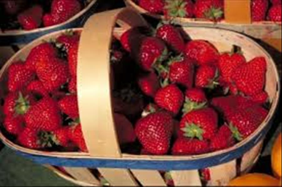 entreprise Gros jean