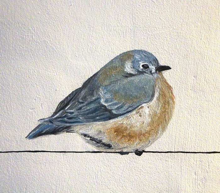 entreprise Parini Illustration